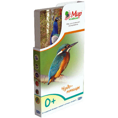 Развивающий набор Umnitsa