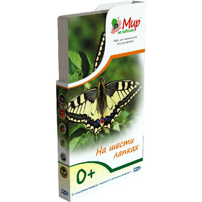 Развивающий набор Umnitsa