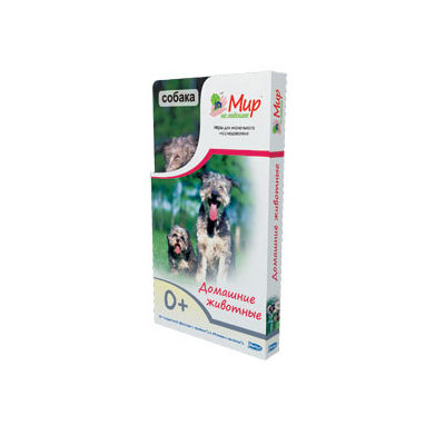 Развивающий набор Umnitsa