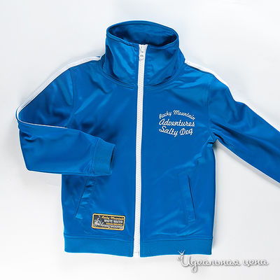 Толстовка Salty Dog, цвет цвет синий