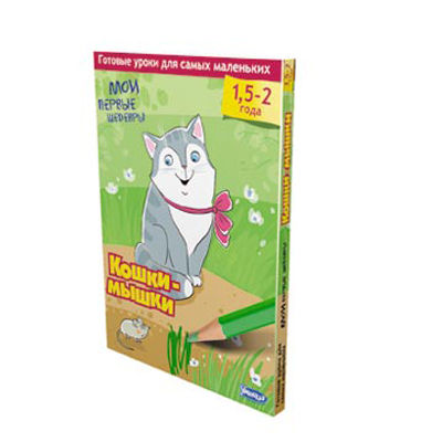 Развивающий набор Umnitsa