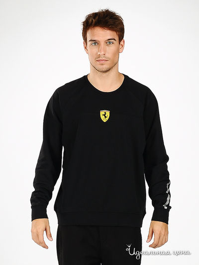Толстовка Ferrari, цвет цвет черный