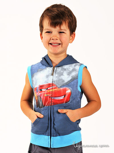 Жилет Cartoon Brands, цвет цвет серый / голубой