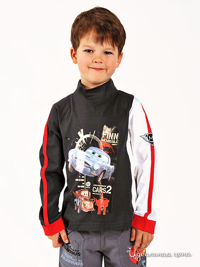 Водолазка Cartoon Brands, цвет цвет серый