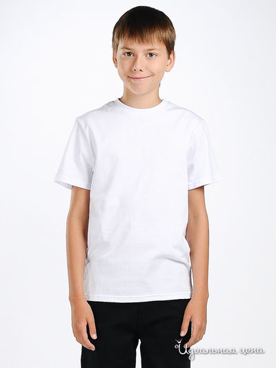 Футболка Ginger