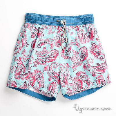 Плавки Archimede, цвет цвет голубой