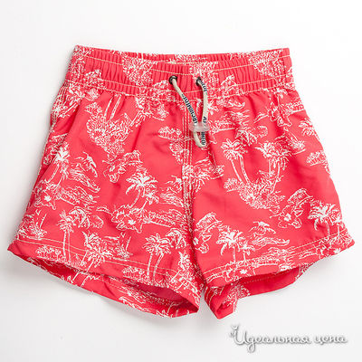 Плавки Archimede, цвет цвет красный