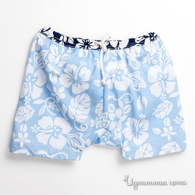 Трусы Archimede, цвет цвет голубой