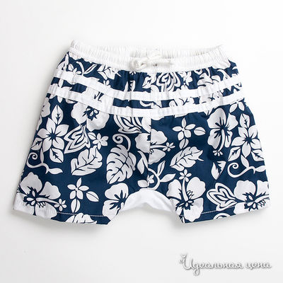 Трусы Archimede, цвет цвет синий