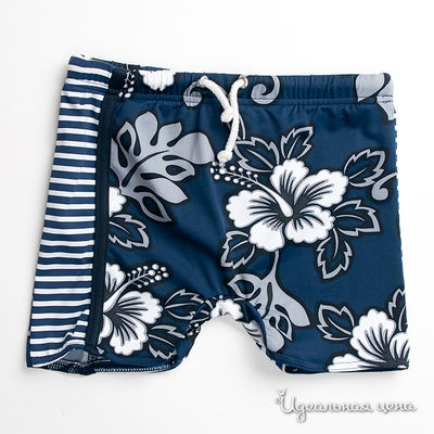 Плавки Archimede, цвет цвет синий