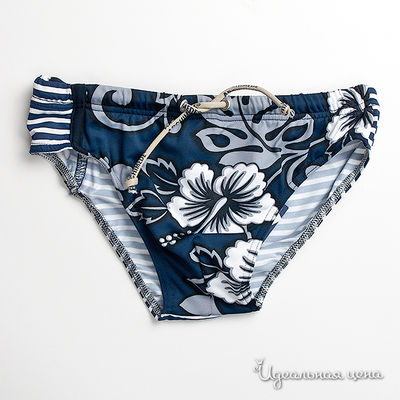 Плавки Archimede, цвет цвет синий