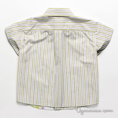 Рубашка GT Basic ИАКИА для мальчика, цвет зеленый