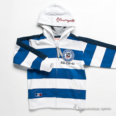 Толстовка Brums, цвет цвет синий / белый