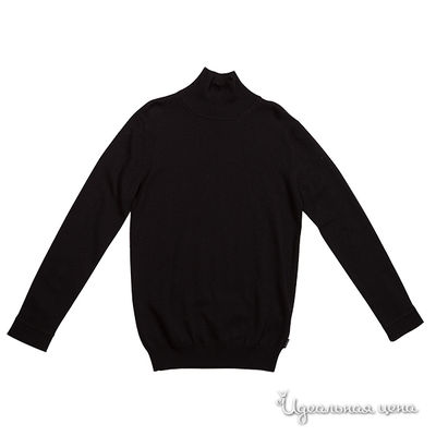 Водолазка Gulliver, цвет цвет черный