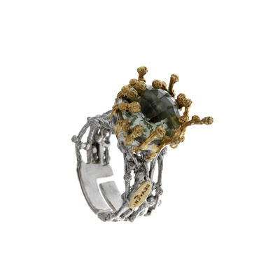 Кольцо Beavers