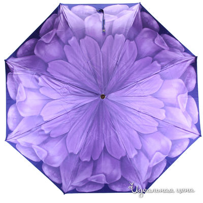 Зонт Pasotti, цвет цвет сиреневый / синий