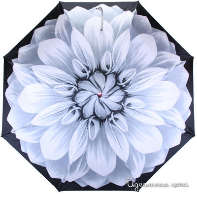 Зонт Pasotti, цвет цвет серый