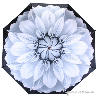 Зонт Pasotti, цвет цвет серый