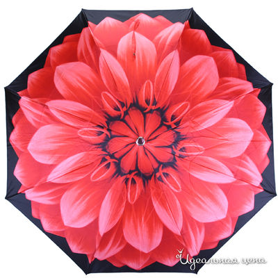 Зонт Pasotti, цвет цвет красный