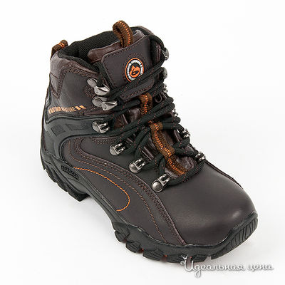 Ботинки Beppi, цвет цвет коричневый