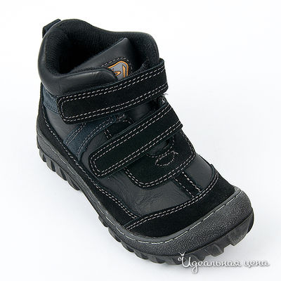 Ботинки Beppi, цвет цвет  черный