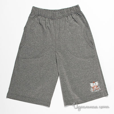 Бриджи Kiff, цвет цвет серый