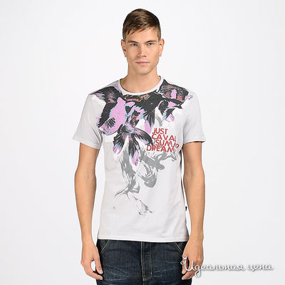 Футболка Dsquared&D&G&Just Cavalli, цвет цвет серый
