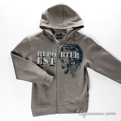 Толстовка Young Reporter, цвет цвет серый
