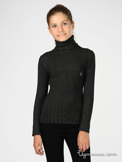 Водолазка Ginger, цвет цвет темно-серый
