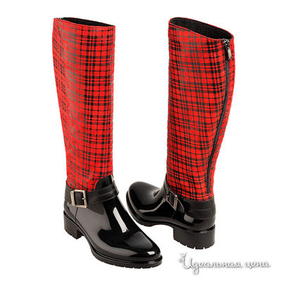 Сапоги Mia Donna, цвет цвет мультиколор