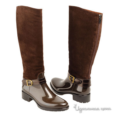 Сапоги Mia Donna, цвет цвет коричневый