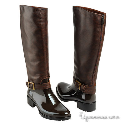 Сапоги Mia Donna, цвет цвет коричневый