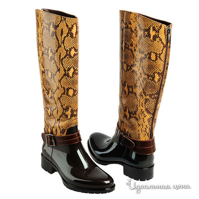 Сапоги Mia Donna, цвет цвет мультиколор