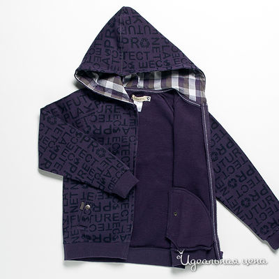 Толстовка Krickets ECOSYSTEM для мальчика, цвет фиолетовый