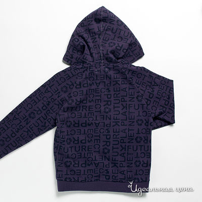 Толстовка Krickets ECOSYSTEM для мальчика, цвет фиолетовый