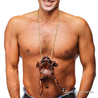 Чехол "Лягушка" CHURINGA, цвет цвет коричневый