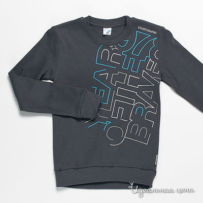 Толстовка Cherubino, цвет цвет темно-серый