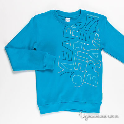 Толстовка Cherubino, цвет цвет бирюзовый