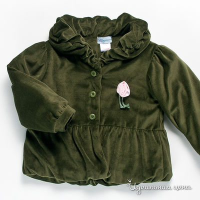 Жакет VIDay Collection, цвет цвет зеленый