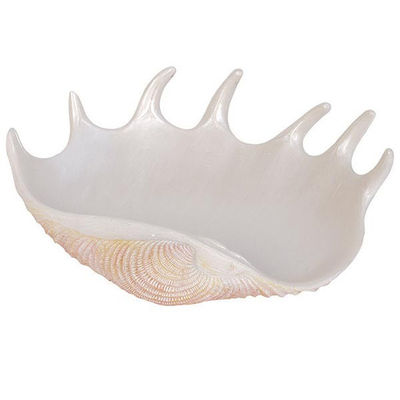 Мыльница Blonder Home, цвет цвет мультиколор