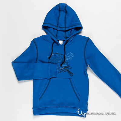 Толстовка Cherubino, цвет цвет синий