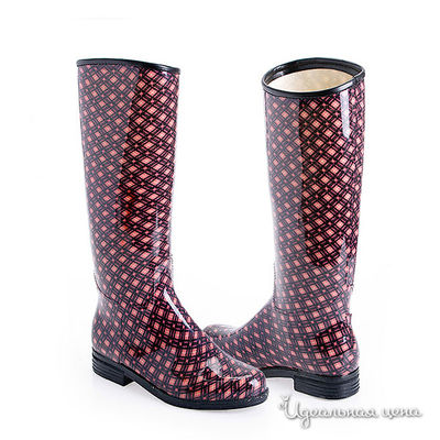 Сапоги DAV, цвет цвет розовый