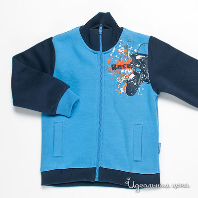 Толстовка Cherubino, цвет цвет синий