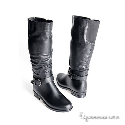 Сапоги DAV, цвет цвет черный