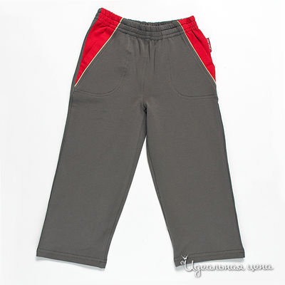 Брюки Cherubino, цвет цвет темно-серый