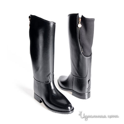 Сапоги DAV, цвет цвет черный