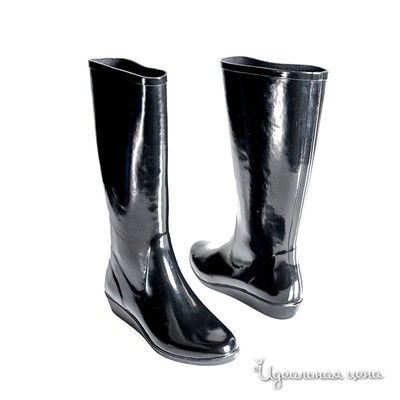 Сапоги DAV, цвет цвет черный