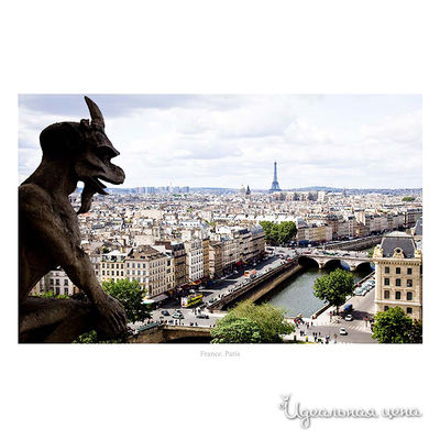 Панно Top posters