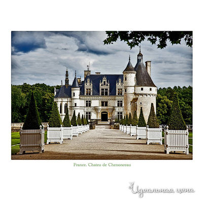 Панно Top posters