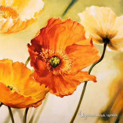 Панно Top posters